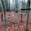 Cooper Mountain Cemetary