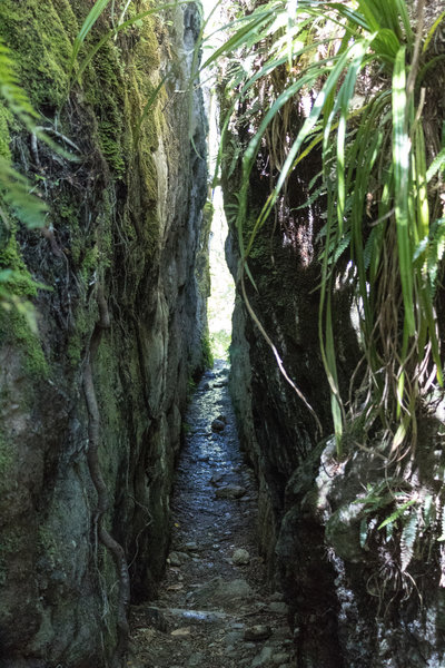 Historic miner's tunnel