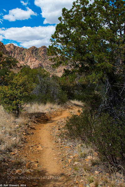 Headed Back, Southeast Arizona: Scenes in Cochise Stronghold, in the center of the range, in Southeast Arizona.