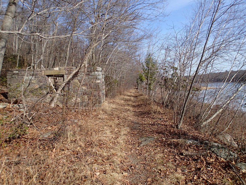 Ruins along Hank's West Trail