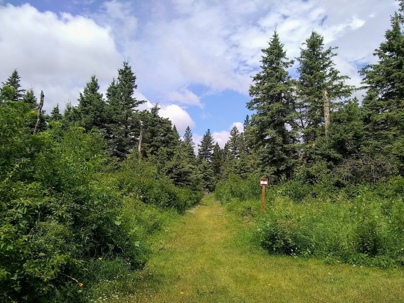 Start of a short trail to a scenic outlook.