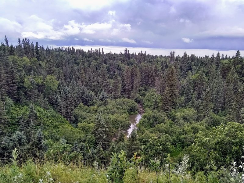 Epinette Creek from a ridge on the trail.