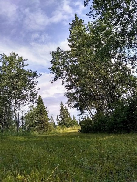 Typical shot of the trail while taking a break.