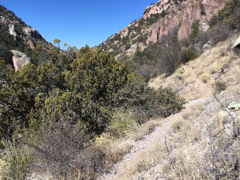 Parts of the unmaintained trail is a breeze to hike.