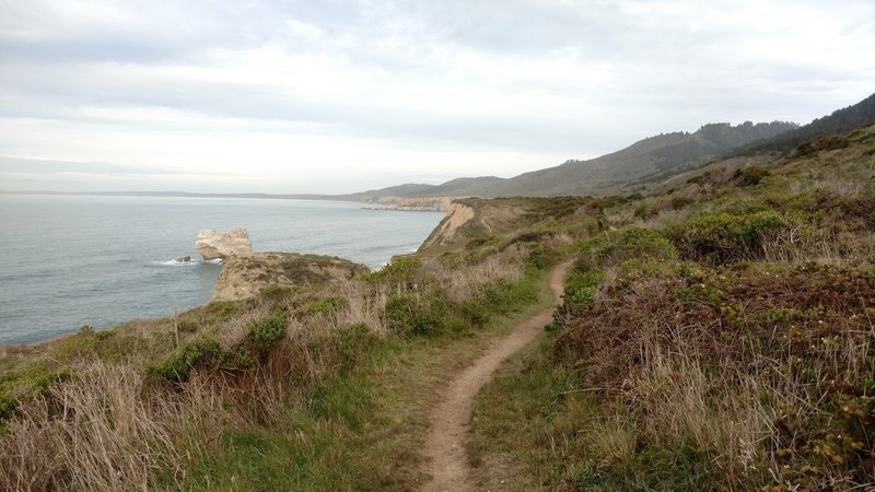 Coast Trail at the end of Bear Valley Trail.  Pt. Reyes, California