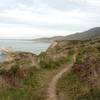 Coast Trail at the end of Bear Valley Trail.  Pt. Reyes, California