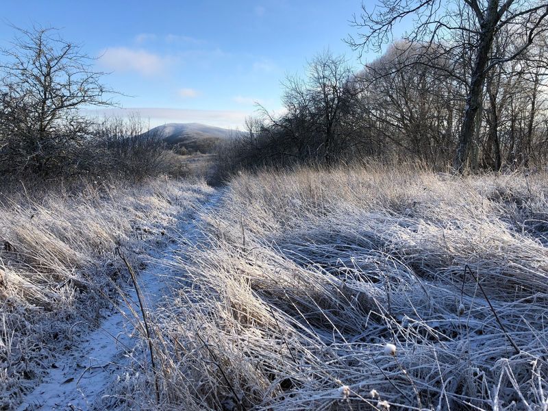 JANUARY- PEARISBURG AT HIKE