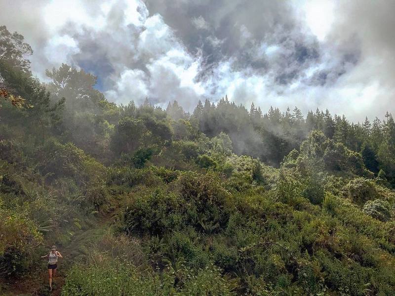 Forests and clouds on the Boundary Trail