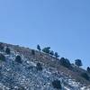 Sheep atop the hill