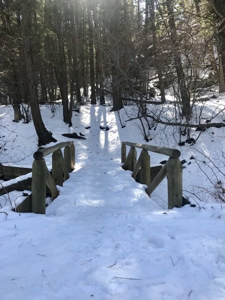 Snow covered trail leading into the Enchanted Forest area.