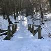 Snow covered trail leading into the Enchanted Forest area.