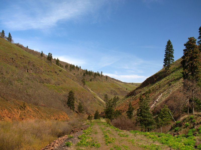 Swale Canyon gets narrower
