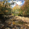 Cranberry River confluence with North Fork tributary