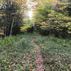 North South Trail dropping down to Cranberry River