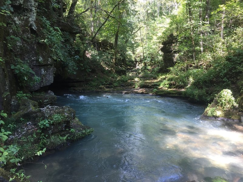 Greer Spring in Summer