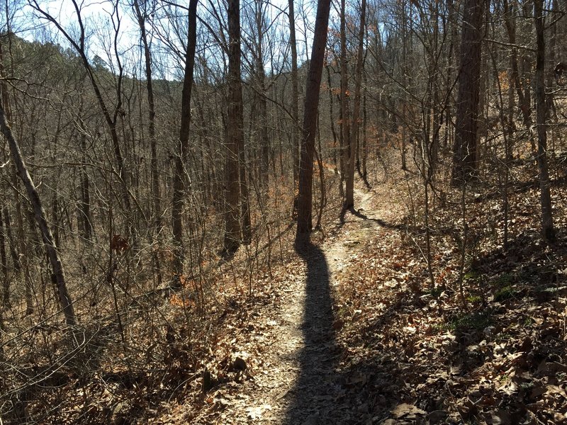 Trail in late winter