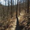 Trail in late winter