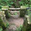 Steps down to the spring at the end of the trail