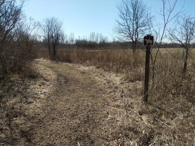 The start of the trail at the South trailhead.