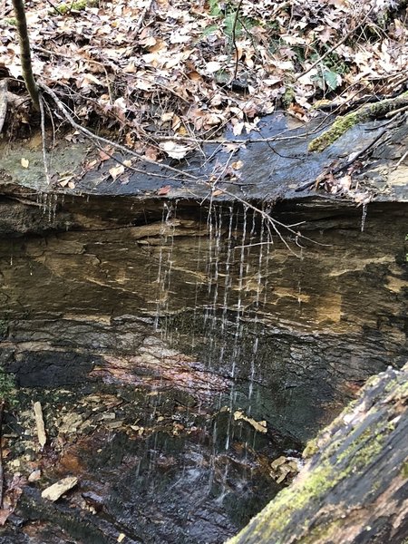 Waterfall in a small creek leading to Wolf Run