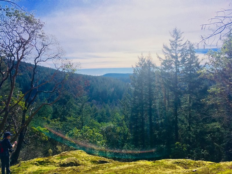 Looking East towards the Cascade Mountain Range.