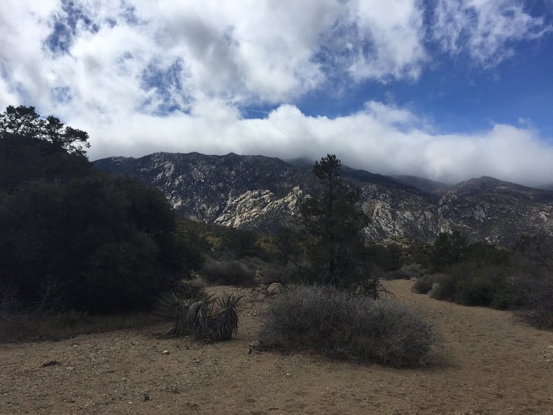 Looking south as you begin the descent to the Cactus Springs trail via the wash. Toro Peak is hidden in the clouds.