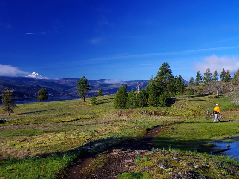 Mount Hood from the lower Catherine Creek Trail