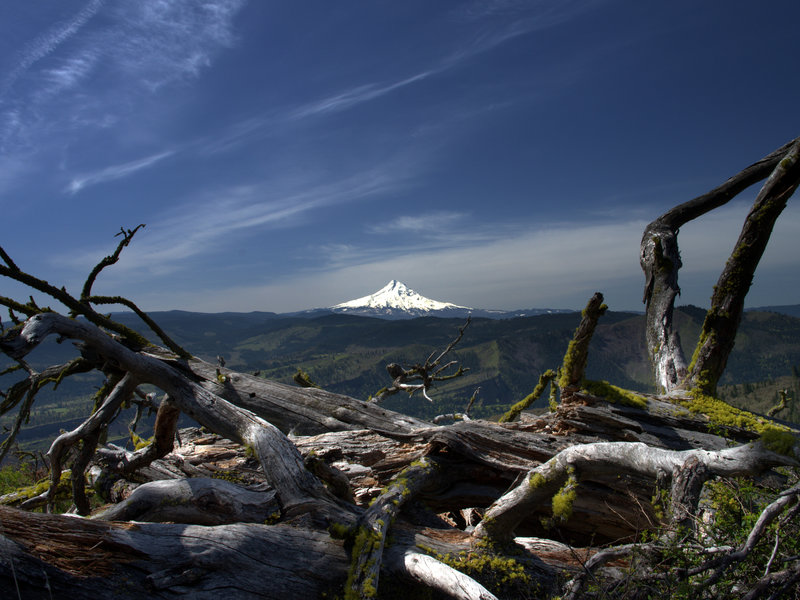 Mount Hood from the upper Catherine Creek Trail