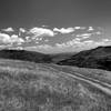 Columbia Gorge from Atwood Road