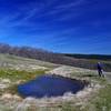 The ephemeral pond high on Tracy Hill