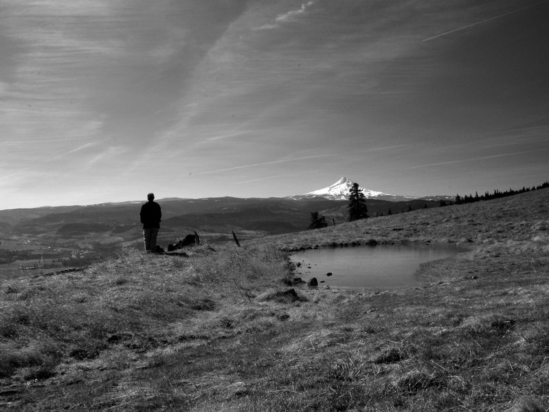 Mount Hood from the ephemeral pond