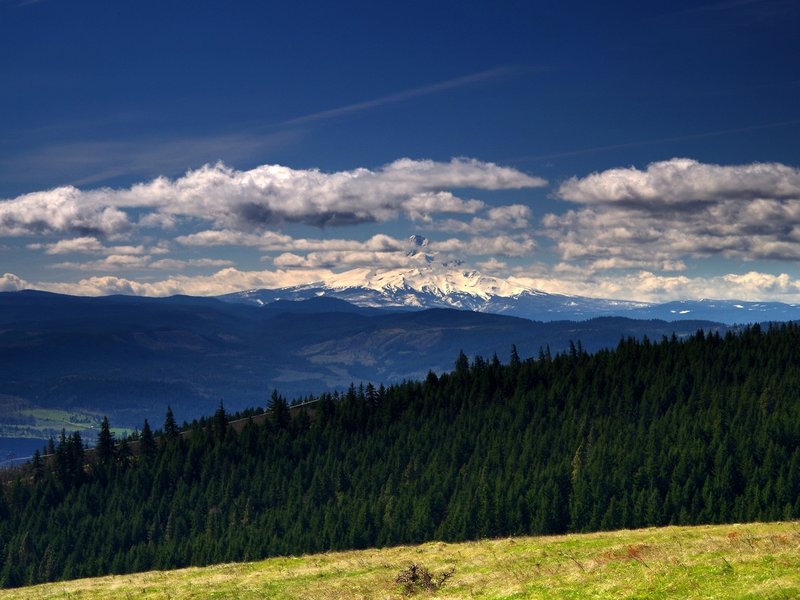 Mount Hood from Tracy Hill