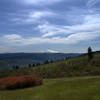 Mount Hood from Tracy Hill