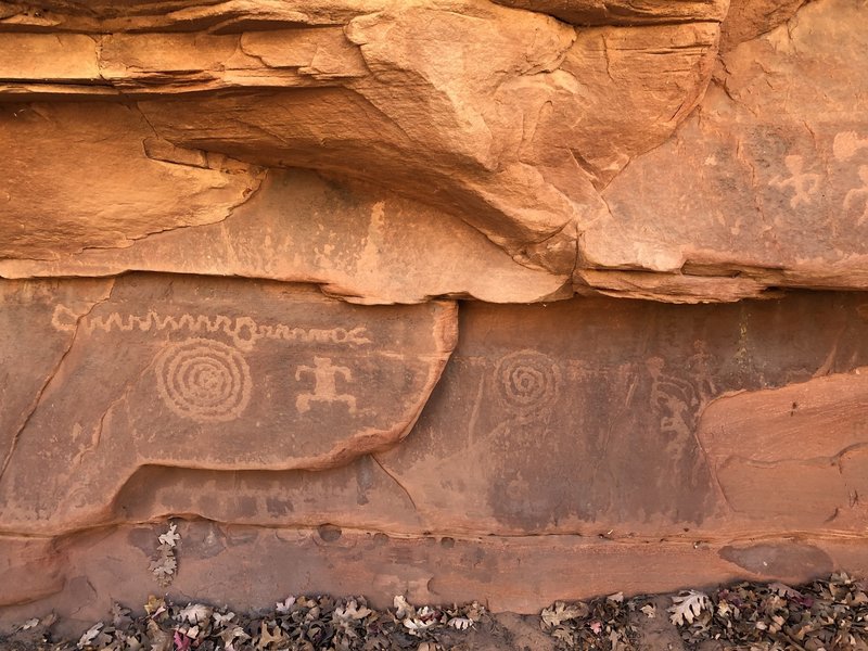 A few of the petroglyphs