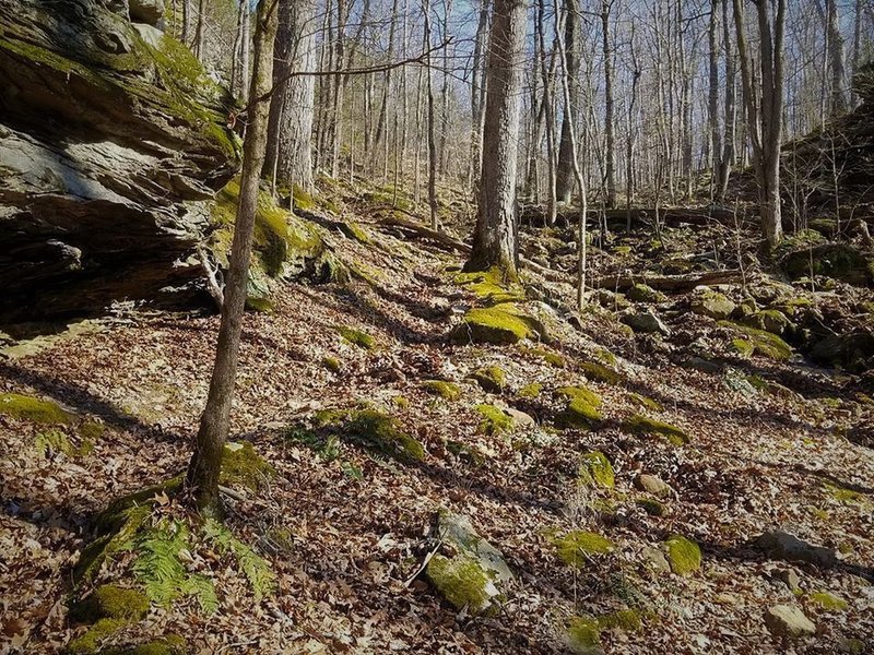 Trail 001A turns and goes up this rocky hill