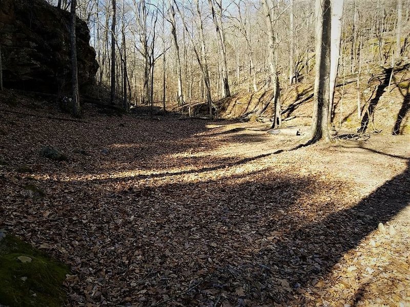 Nice flat campsite near the creek