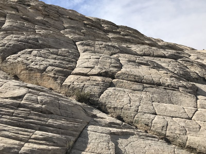 From the floor of the Whiterocks Amphitheater, looking up the elephant hide and searching for a starting point for the scramble to the top