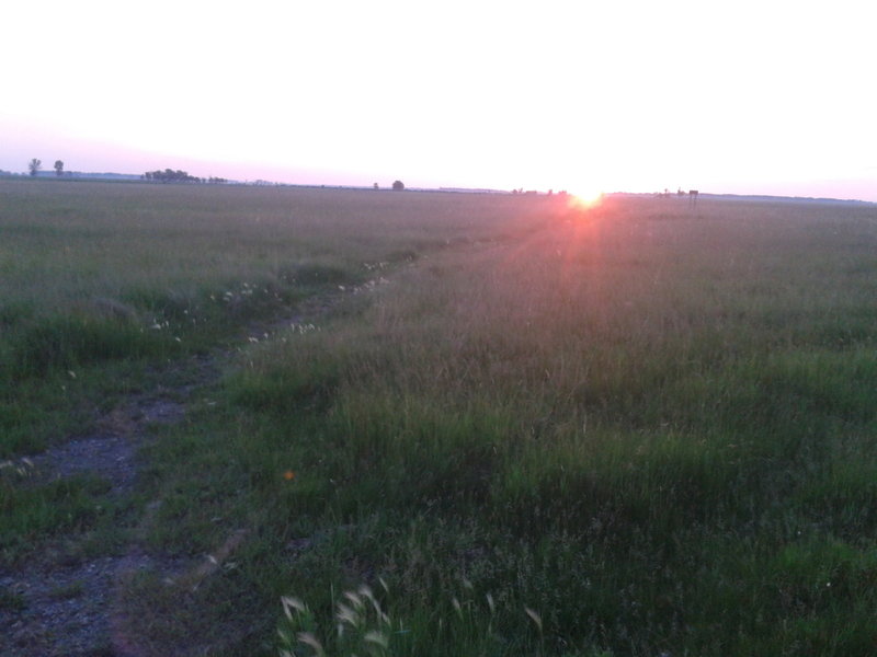 Sunrise over the Grasslands