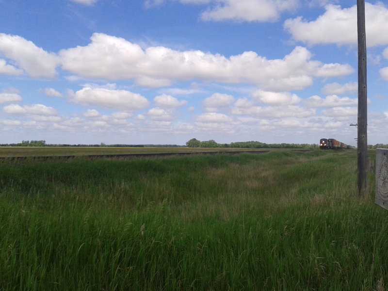 A Canadian Pacific train coming to the crossing!