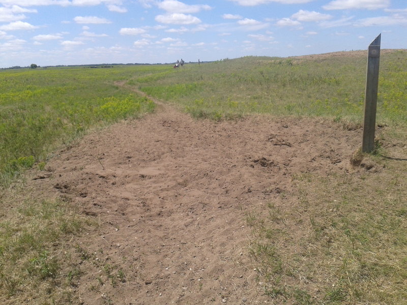 Trail marker posts and a shallow blowout caused by cows congregating by the post for rubbing.