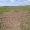 Trail marker posts and a shallow blowout caused by cows congregating by the post for rubbing.