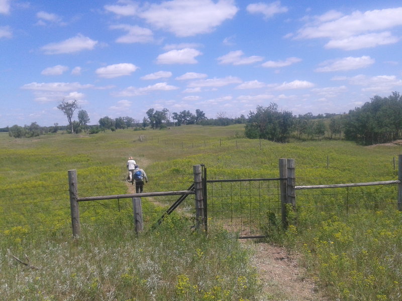 Heading through the swing gate