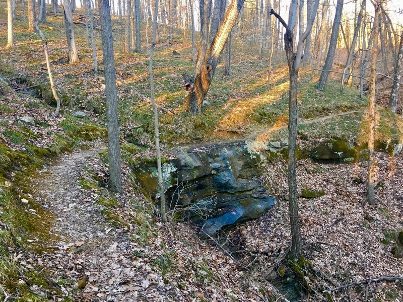 Steam and small waterfall crossing at the head of a ravine.