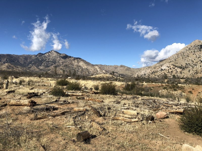 View of the flats with the mountains in the distance