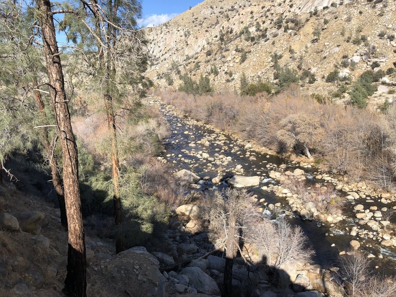 A view of the Kern River from the bank.