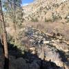 A view of the Kern River from the bank.