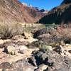 Colorado River from beaches of Pine Creek