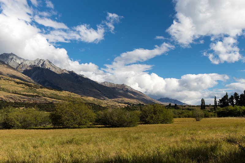 Meadows around the Glenorchy Lagoon