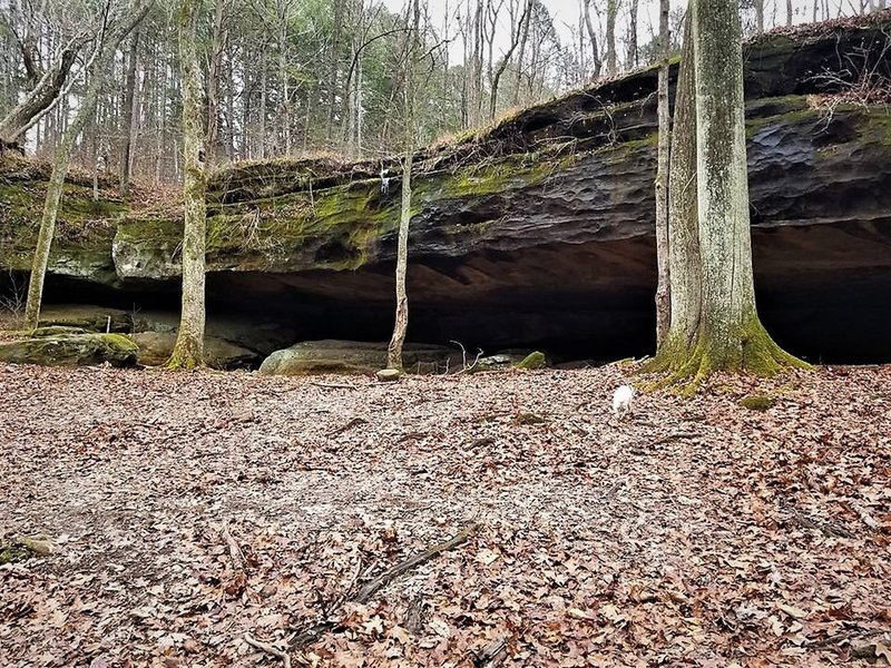 Secret Canyon Rock shelter