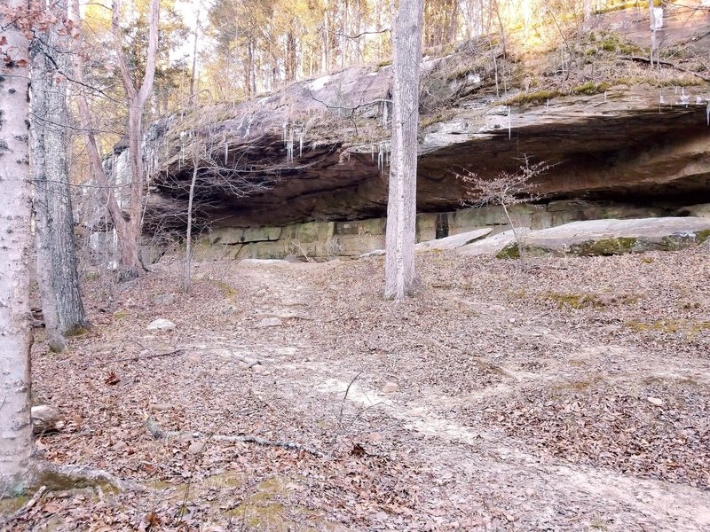 Rock shelter along Bear Branch Creek